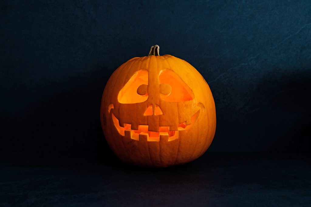 Halloween K Rbis Haltbar Machen Top Tipps Tricks