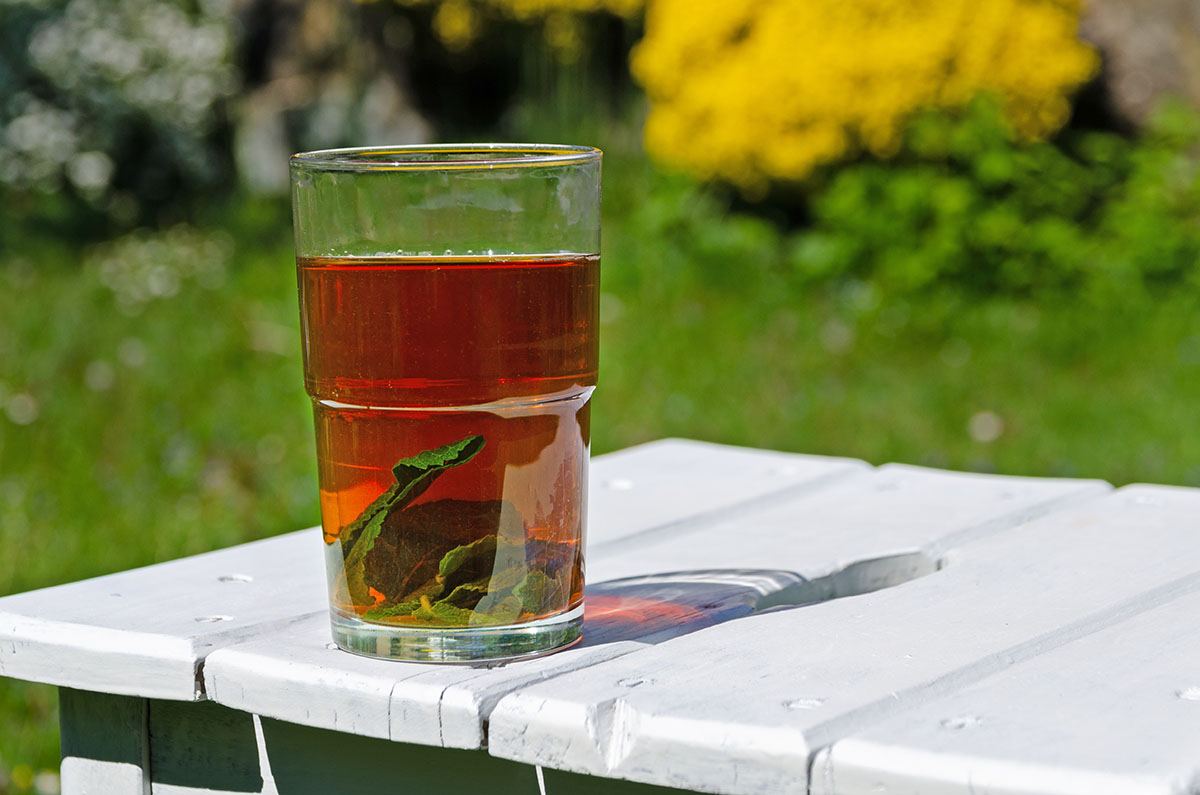 Sommergetränk Ingwer Eistee mit Minze