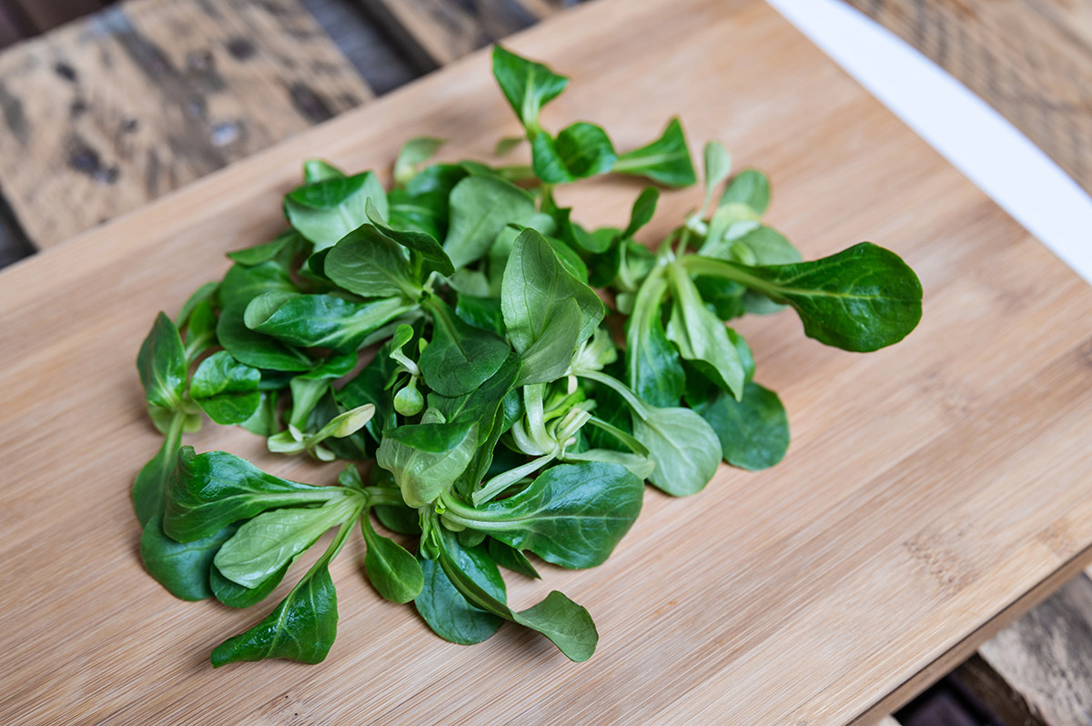 Feldsalat Wintergemüse
