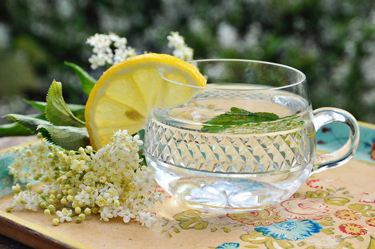 Holunderblüten Rezepte