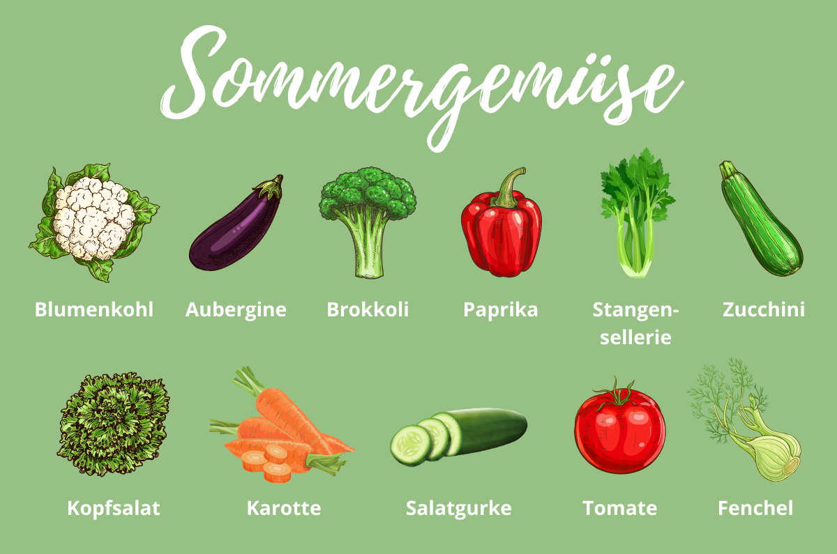 50+ Welches Gemüse Gibt Es, Sie erfahren welche inhaltsstoffe
