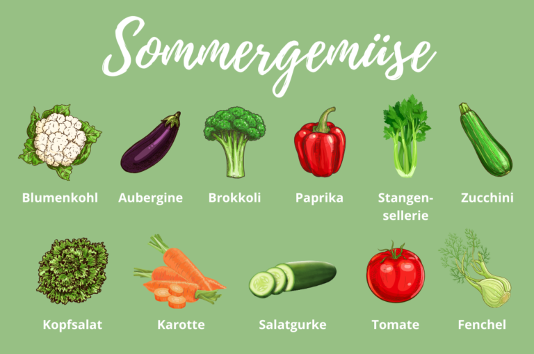 Sommergemüse Liste die top 11 beliebter Gemüse im Sommer bellendo