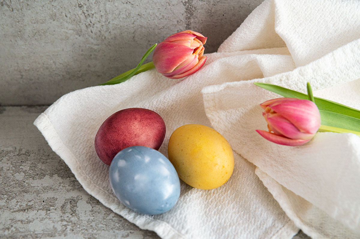 Je ein rotes, blauen und gelbes Ei auf einem weißen Stoffhandtuch, an den Seiten zwei Tulpen als Deko.